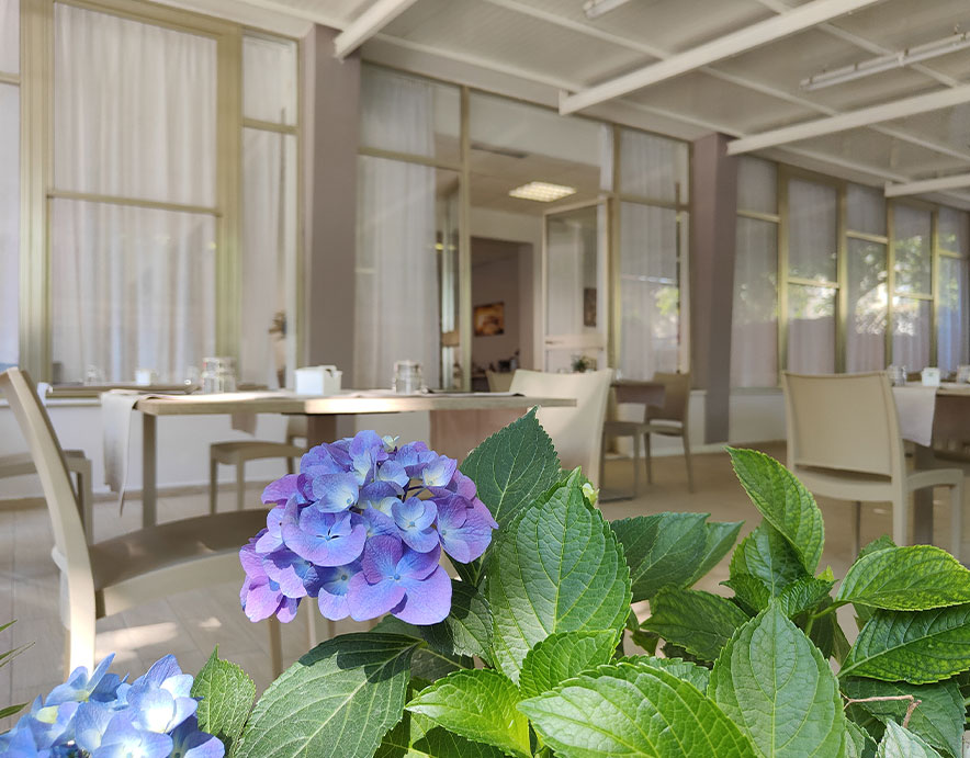 hotel 3 stelle cervia